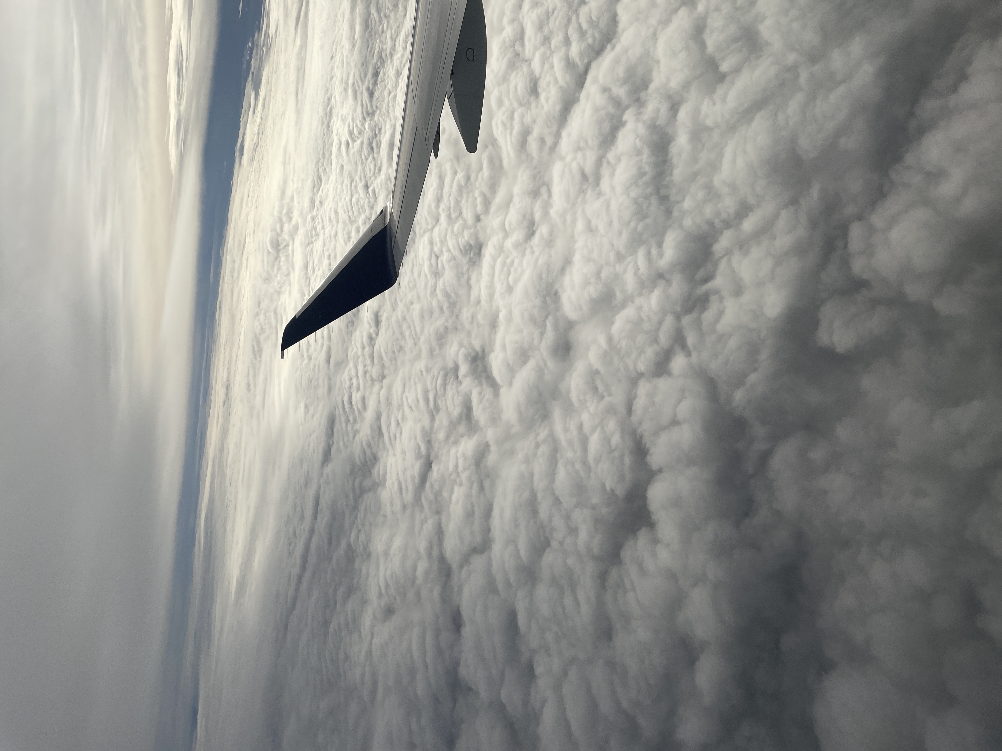 /images/lenticular/texturesAboveAndBelow.jpg